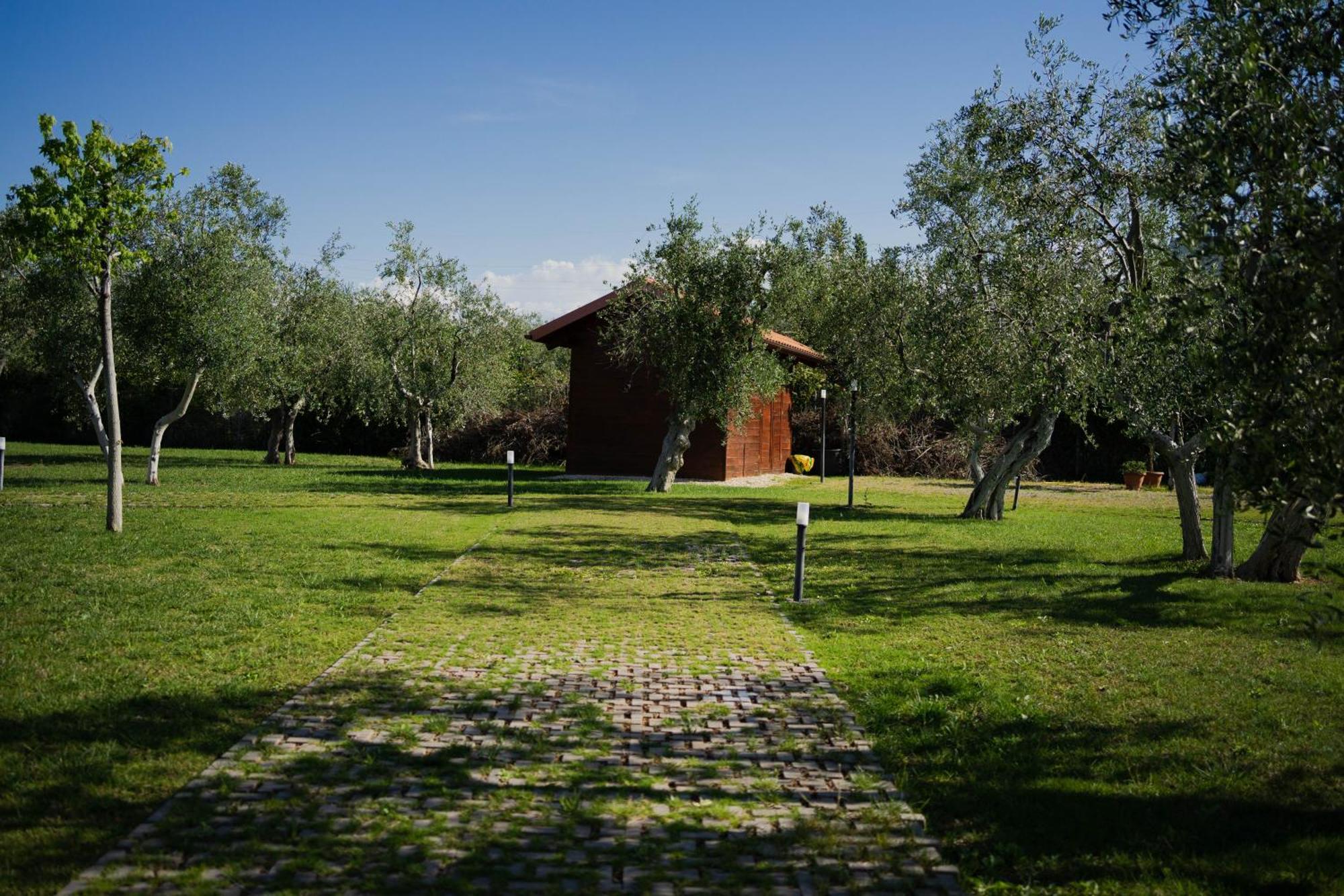 Villa Erada Bari Eksteriør billede